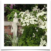 Lymm Open Gardens 2 - Helen Kulczcki